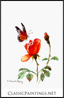 Orange Rose and Monarch Butterfly