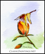 Yellow Dragonfly and Yellow Rose