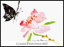 Black Butterfly and Pink Rose