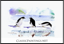 Three Penguins