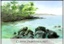 Spencer Beach, Big Island, Hawaii